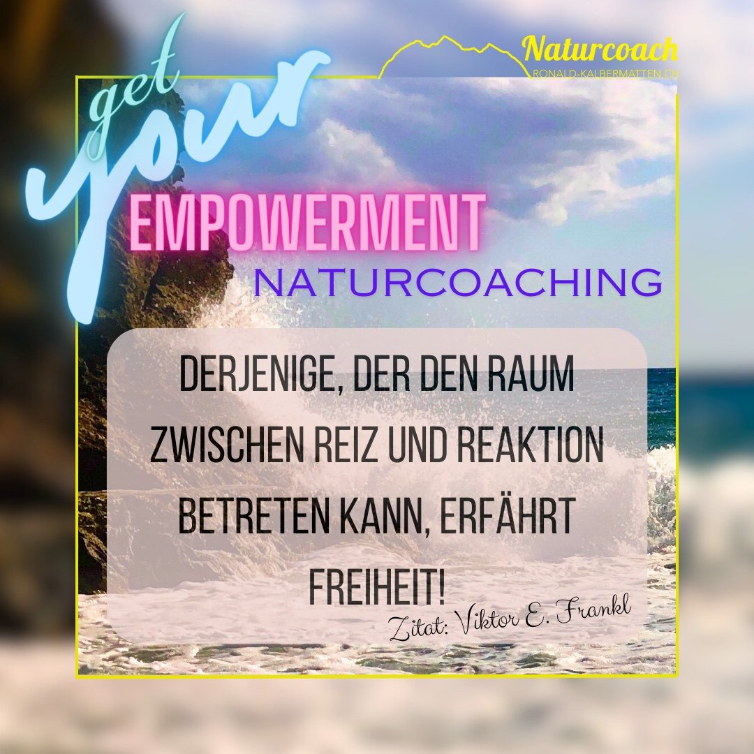 Der Raum zwischen Reiz und Reaktion