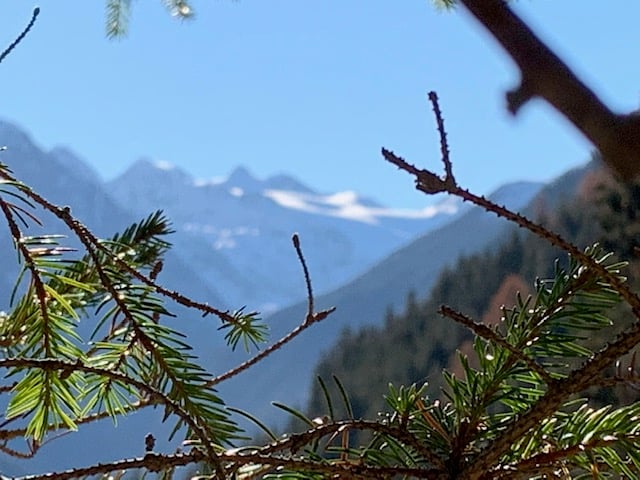Geheimtipps im Stubai aus erster Hand