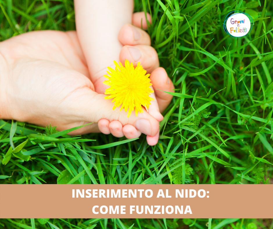 Inserimento al nido: come funziona