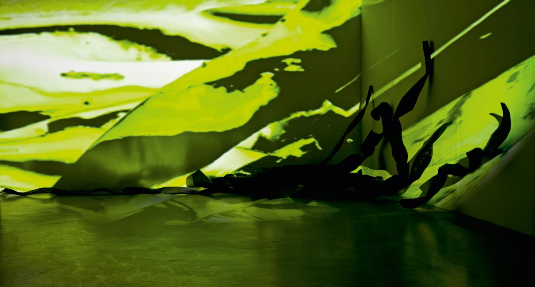 Monika Humm seaweed 1, Videostill, Rauminstallation, ARKATRON, Kunstarkaden, München 2010