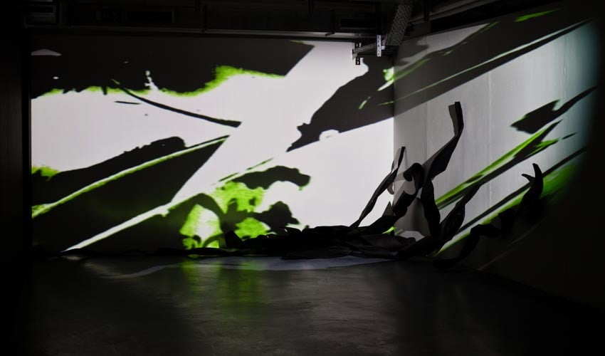 Monika Humm seaweed 1, Videostill, Rauminstallation, ARKATRON, Kunstarkaden, München 2010