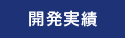 開発実績