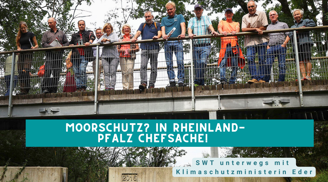 Aktiver Moorschutz? Diffuse Nährstoffeinträge verhindern!