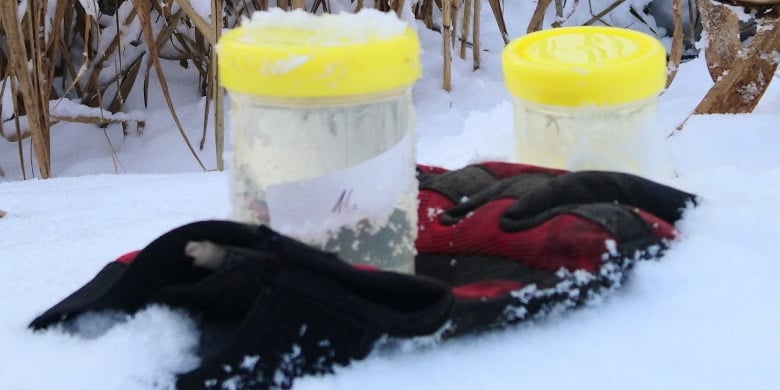 Wartungstour im Dauerfrost