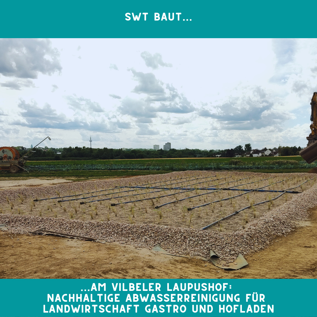 Abwasserreinigung naturnah anspruchsvoll und modern? Geht!