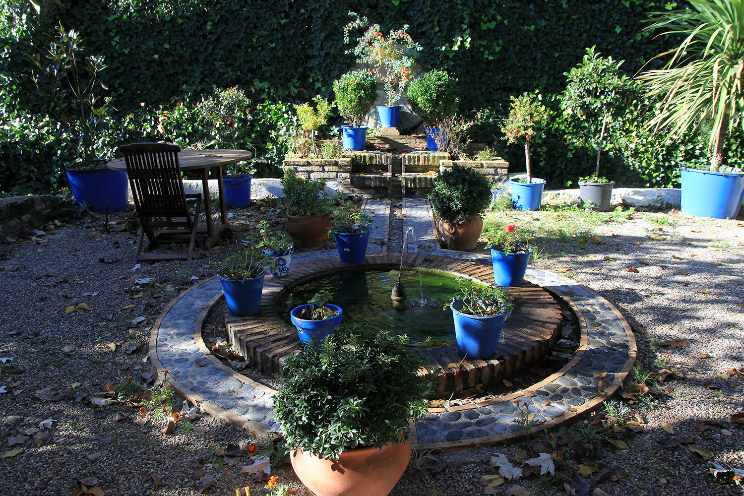 The garden at the front