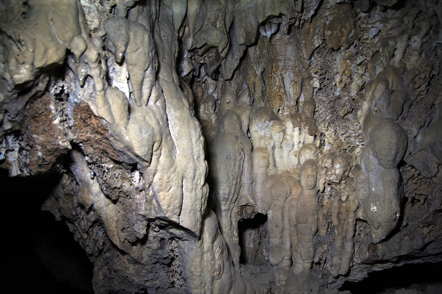 Cave Vacamia (inside)