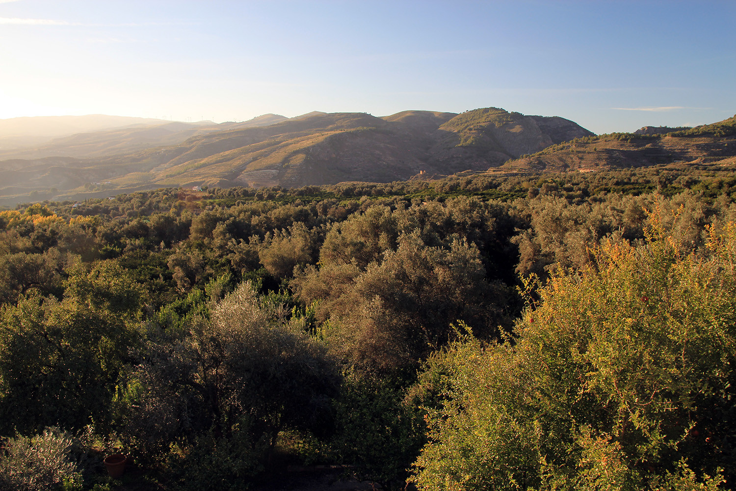 The view on the valley