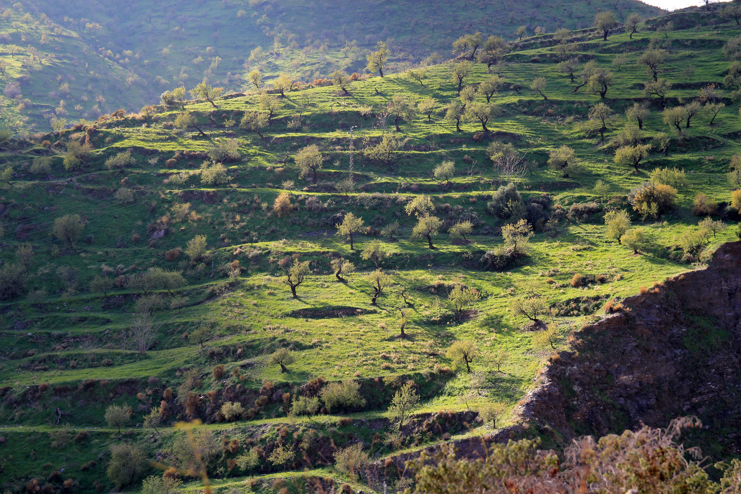 Countryside Albuñol