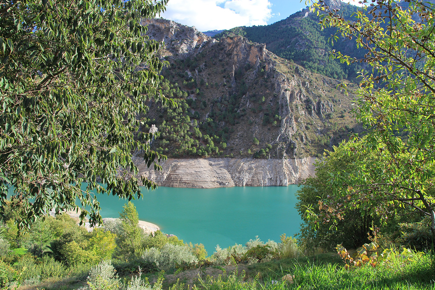 View from the swimming pool