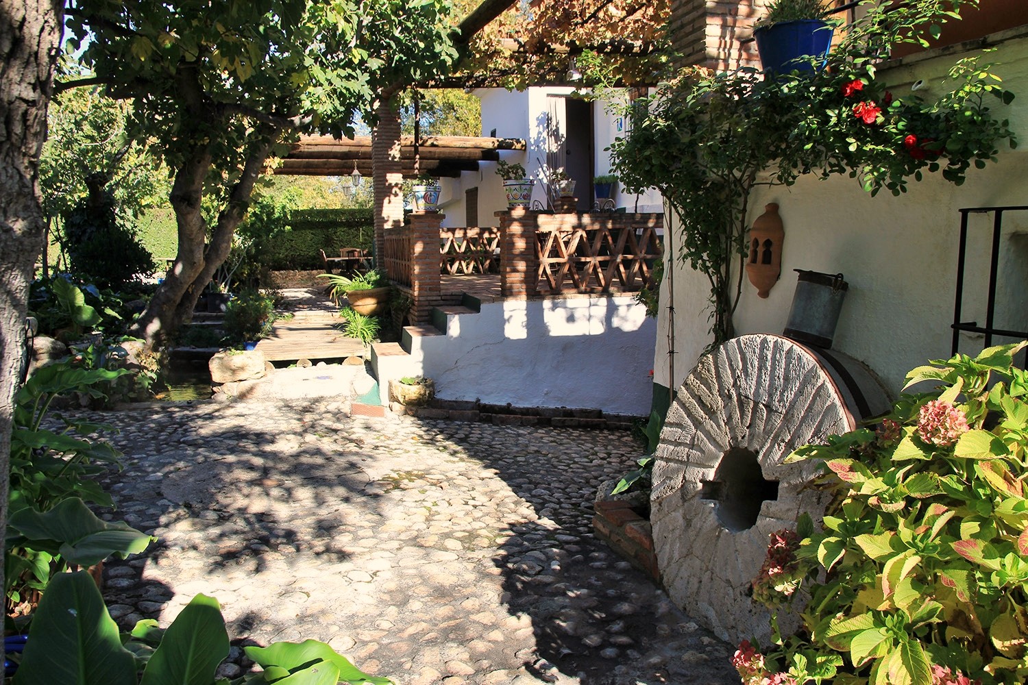 The garden at the front