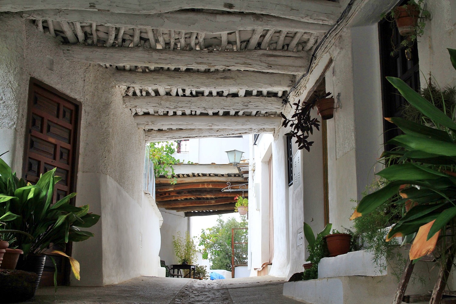 A "Tinao" in Ferreirola