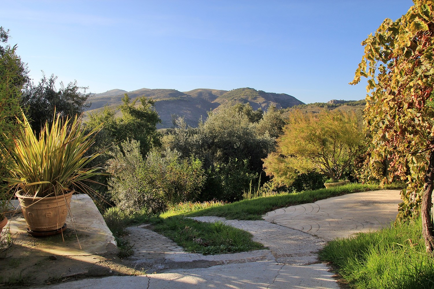 The view from the front door