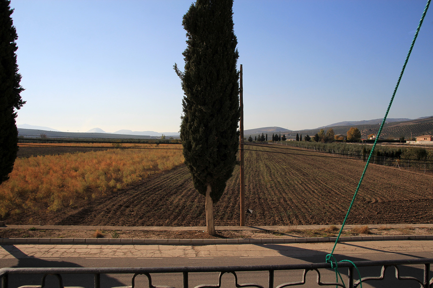 The view from the first floor