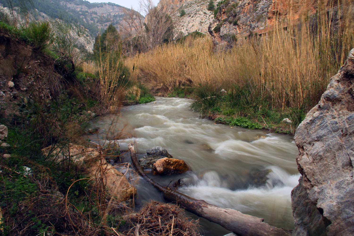 River Dúrcal (Cónchar)