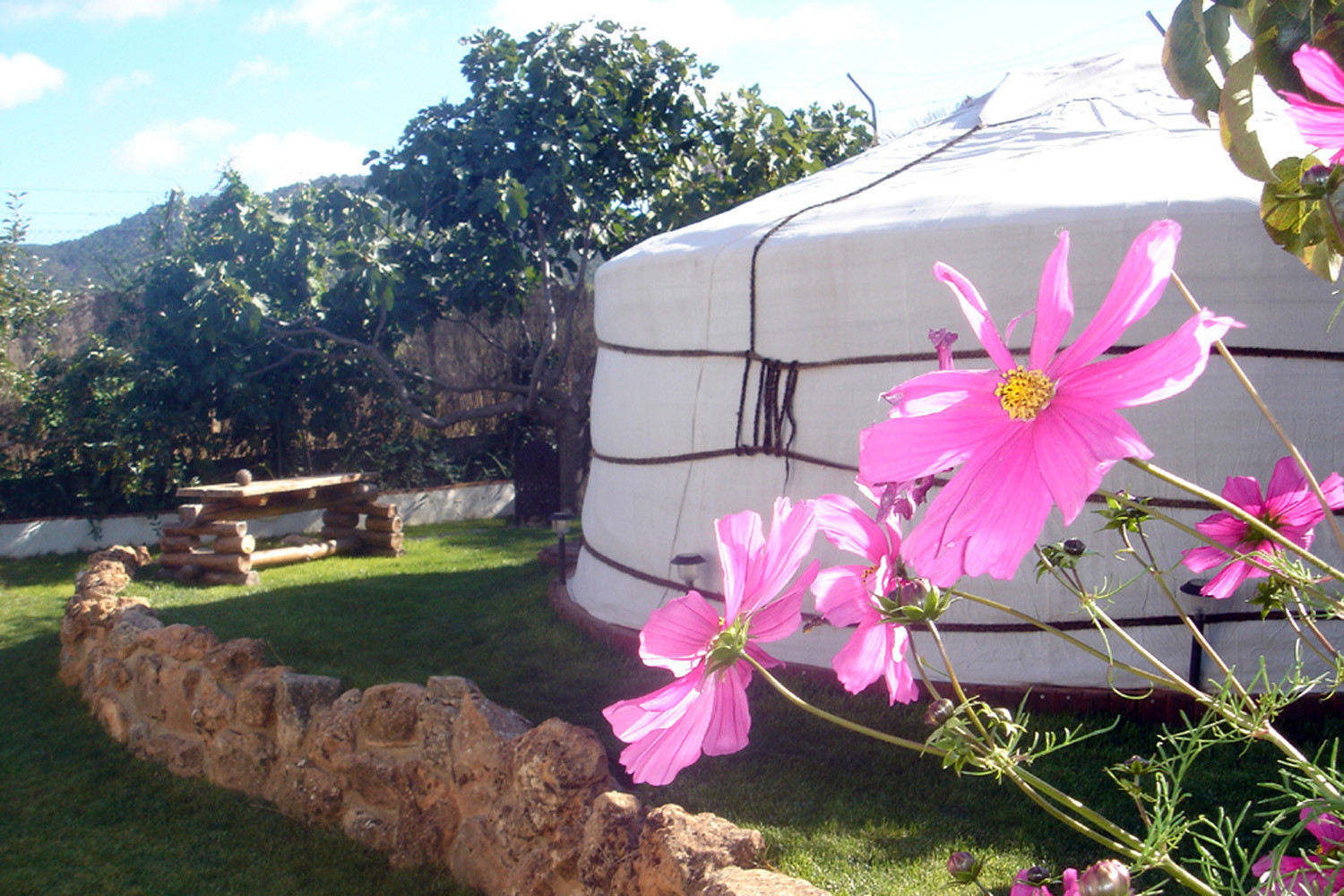 Back view of the Yurt
