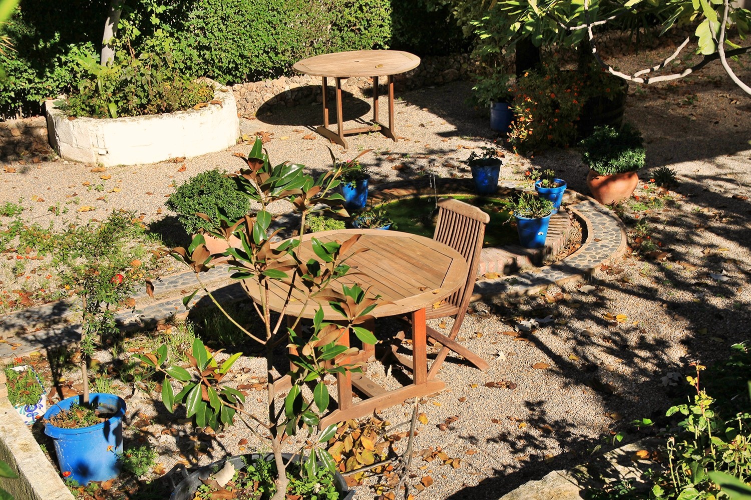 The garden at the front