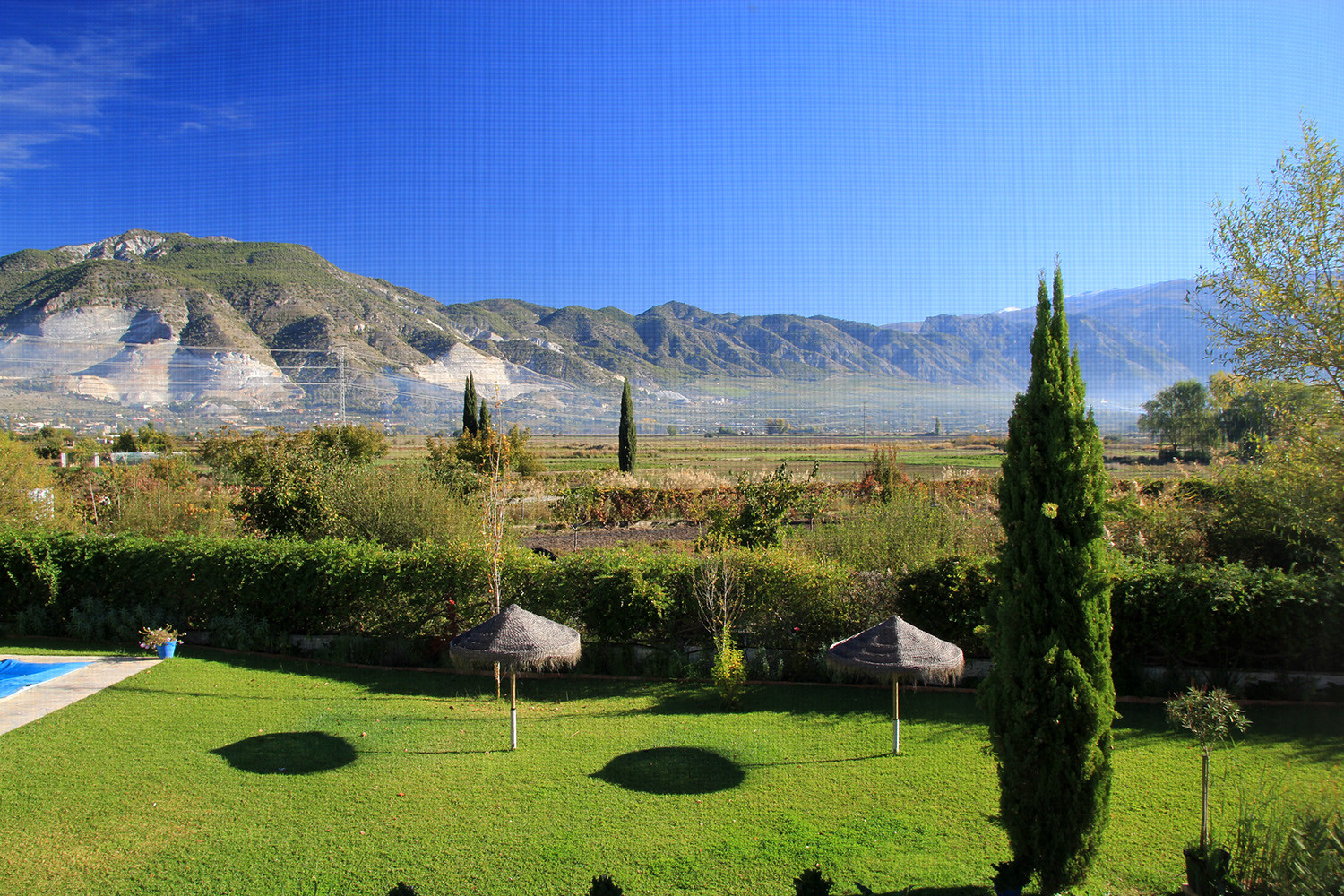 The view from the bedroom window