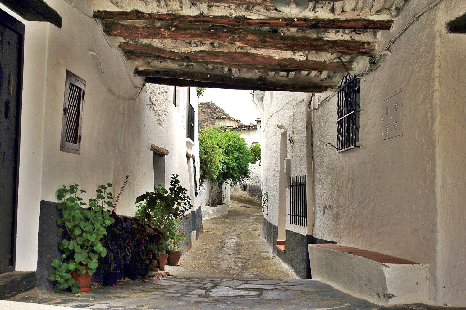 A "Tinao" in Ferreirola