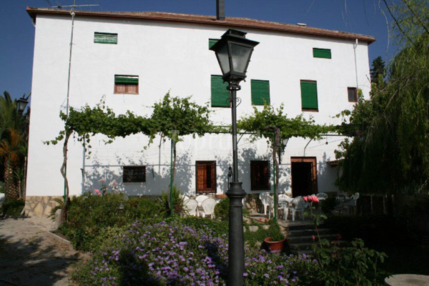 Back view of the house