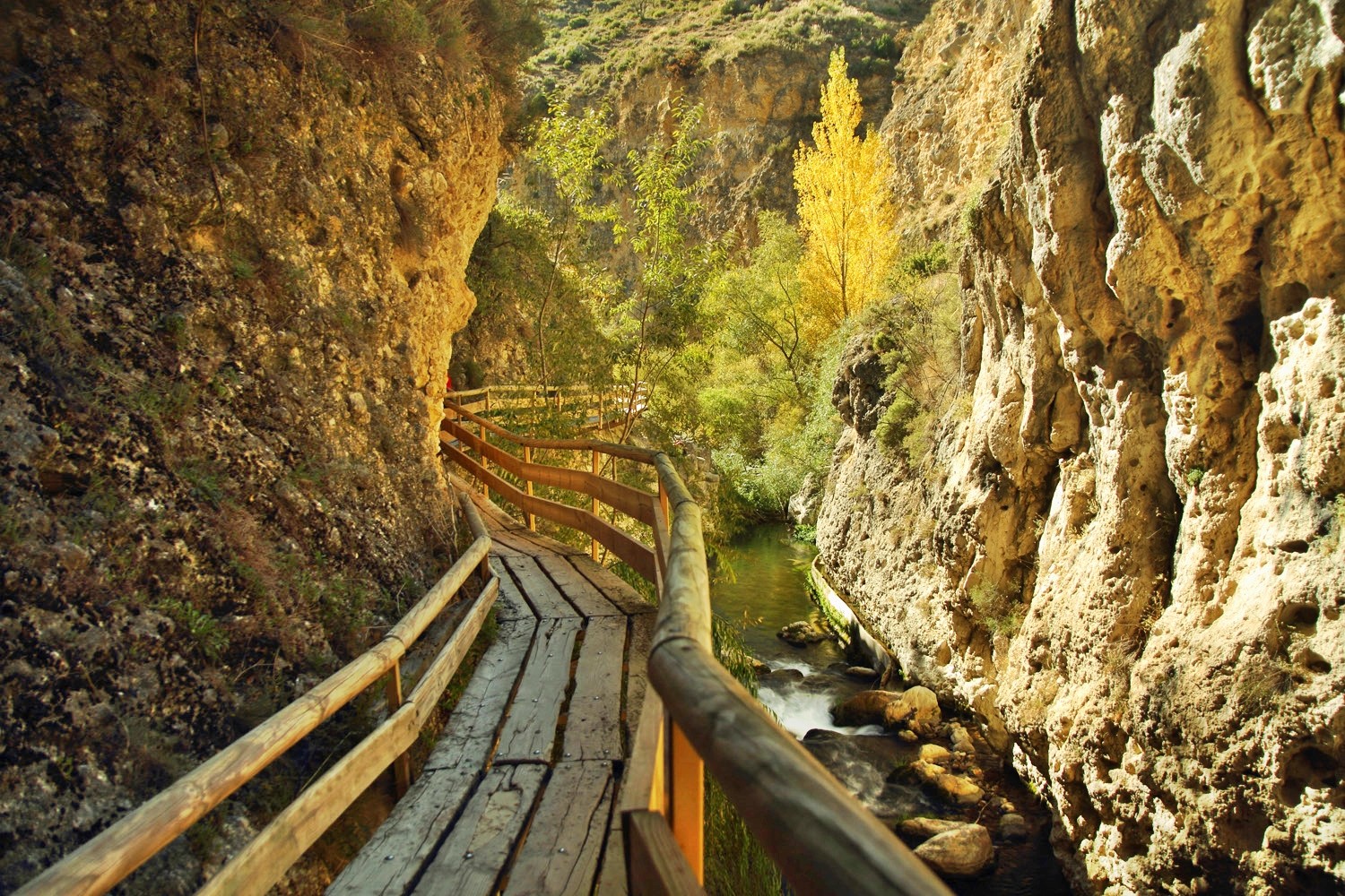 The Trail in the Canyon of Rio Castril in Castril