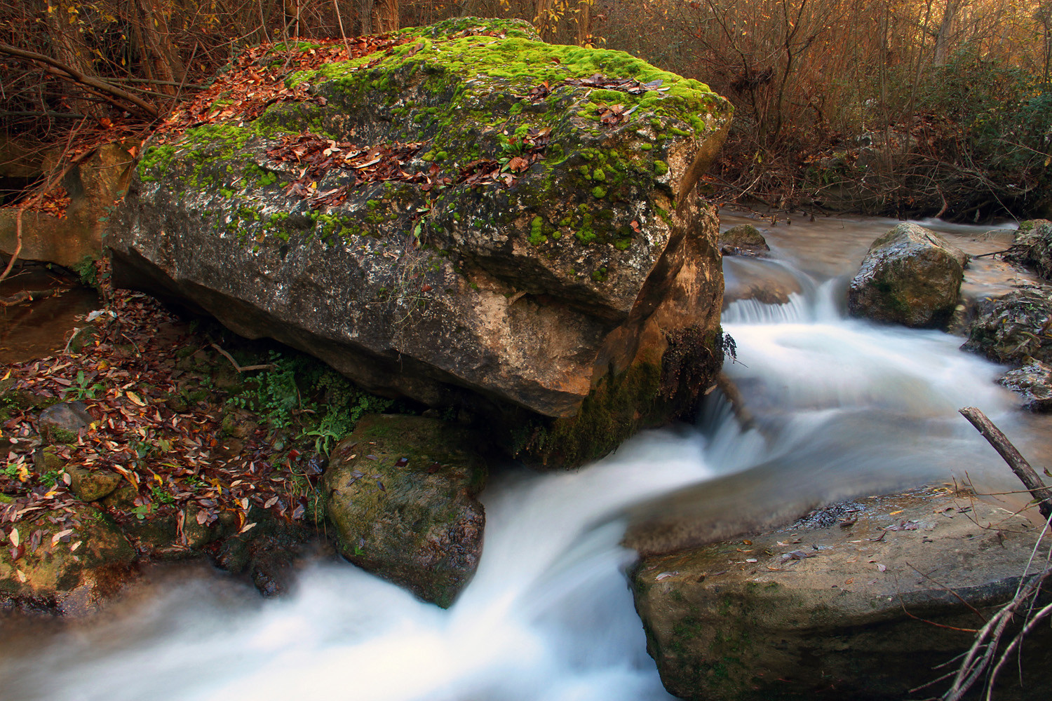 Natural Monument "Tajos de Alhama"