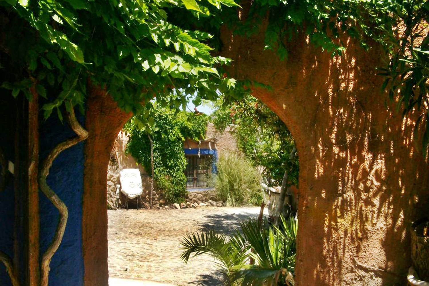 Detail of the garden