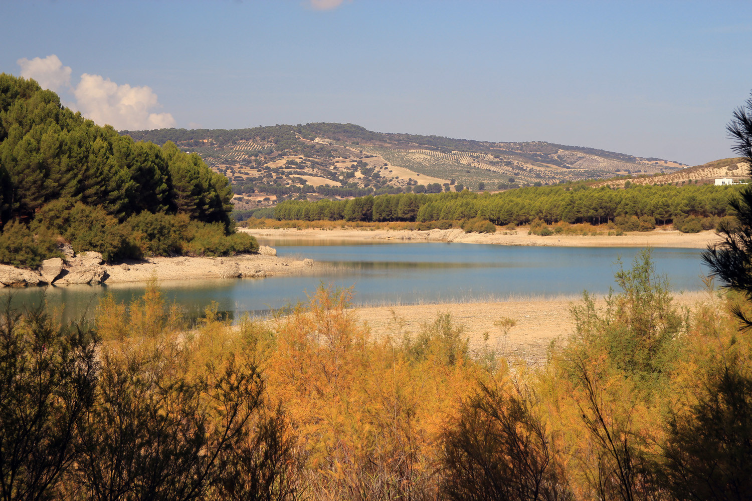 The Reservoir Bermejales