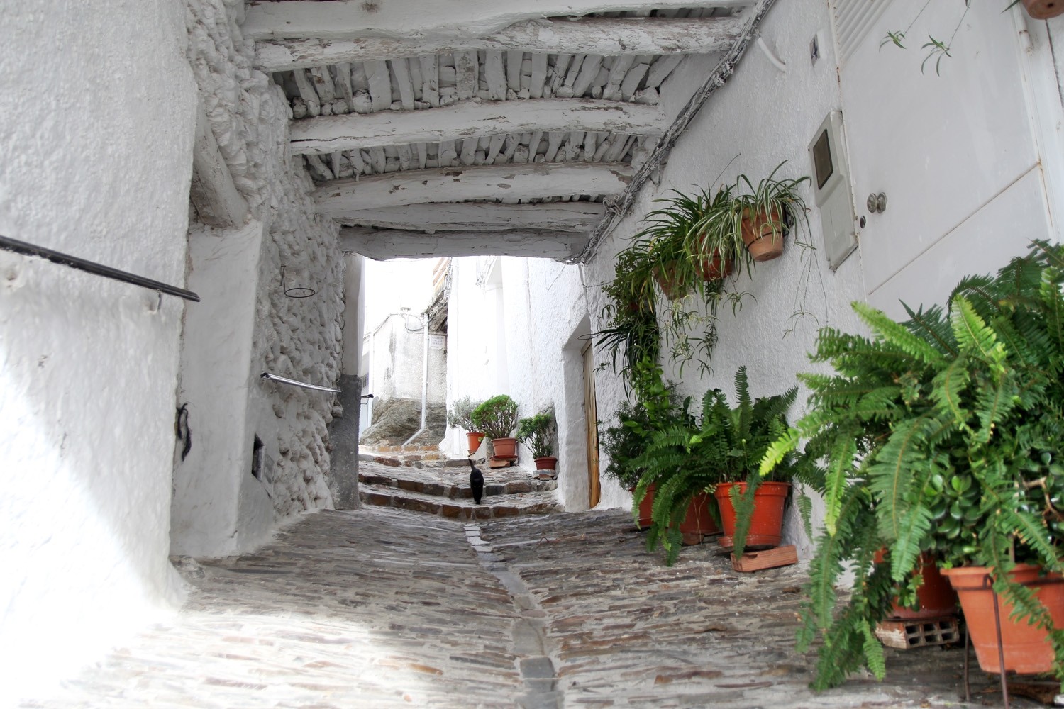 A "Tinao" in Pítres