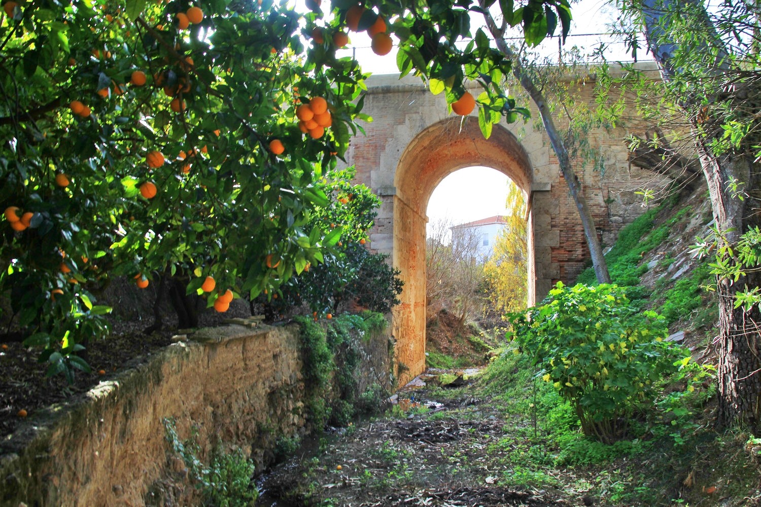 The Bridge of Béznar