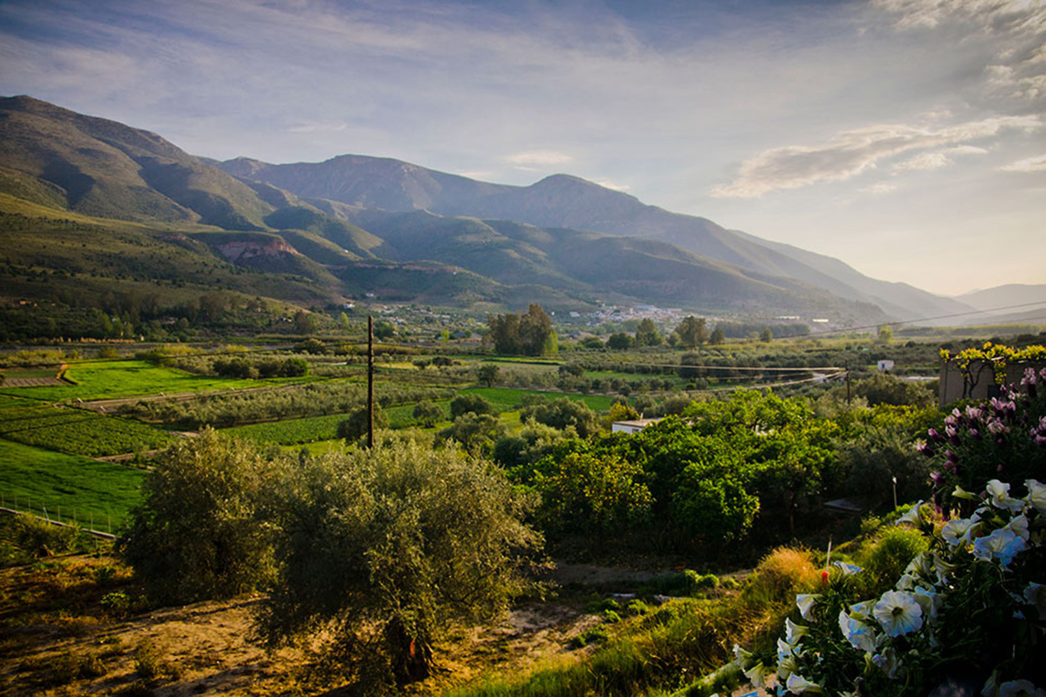 The views from the complex