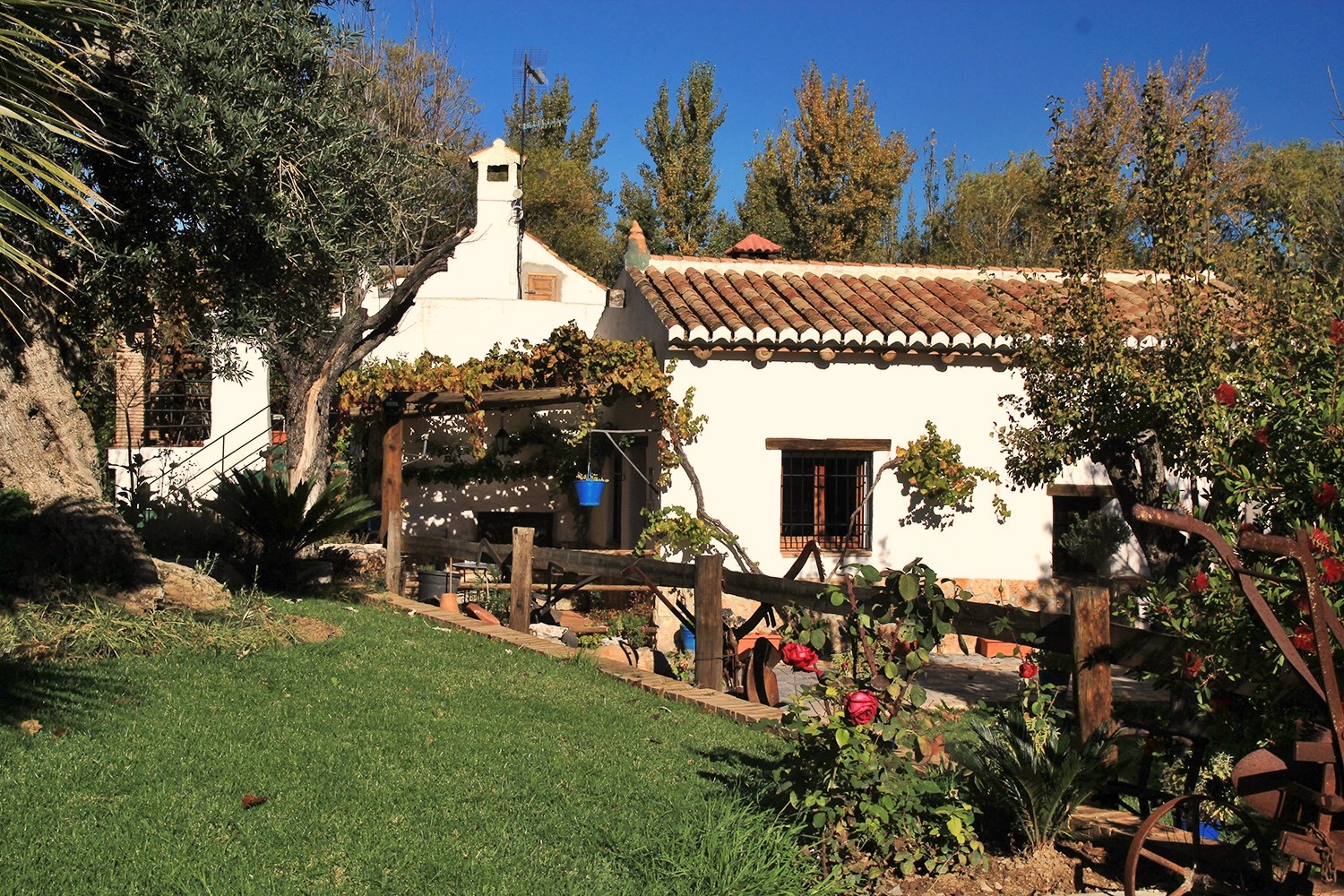 Side view of the house