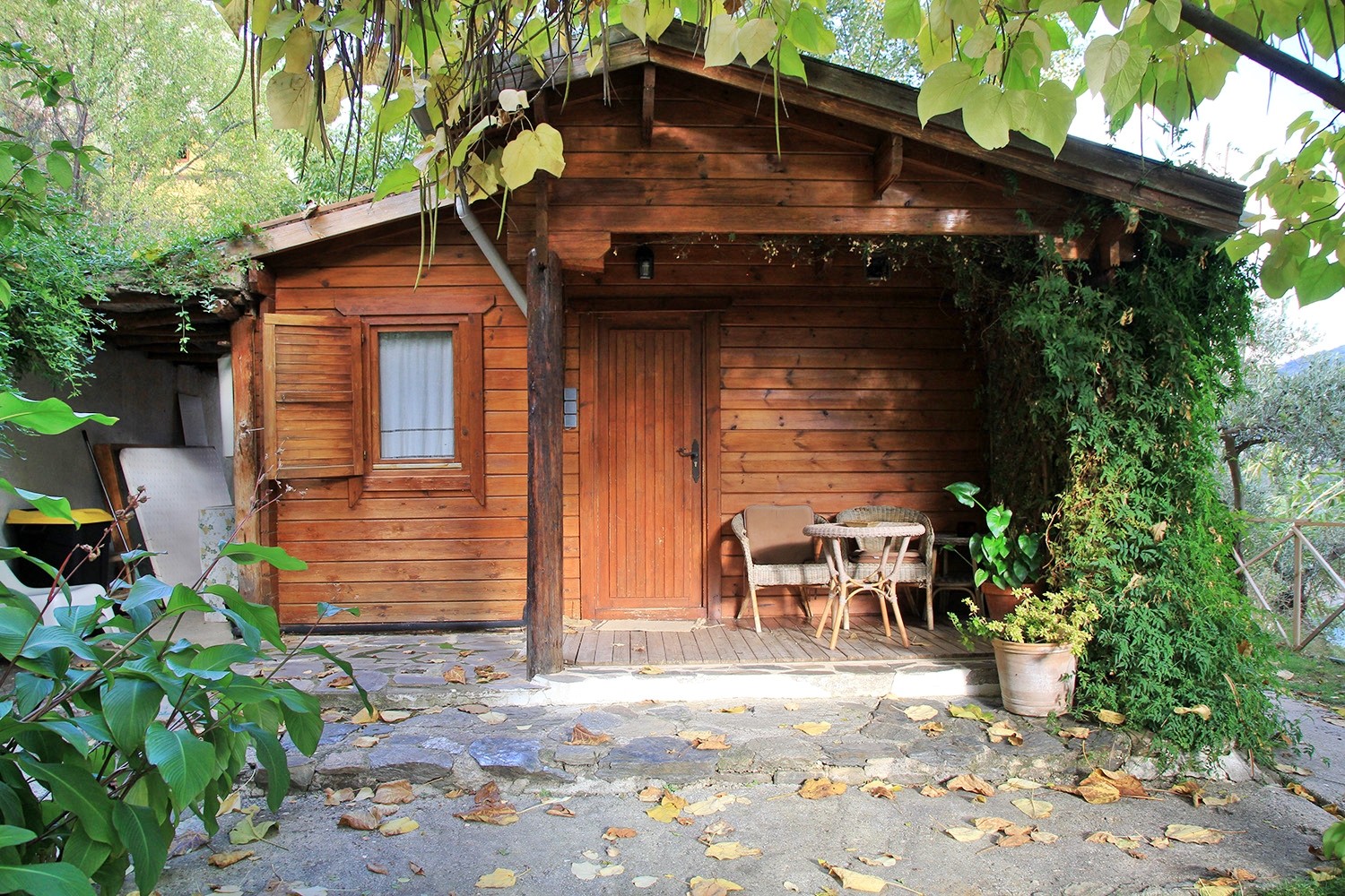 Front view of the cabin