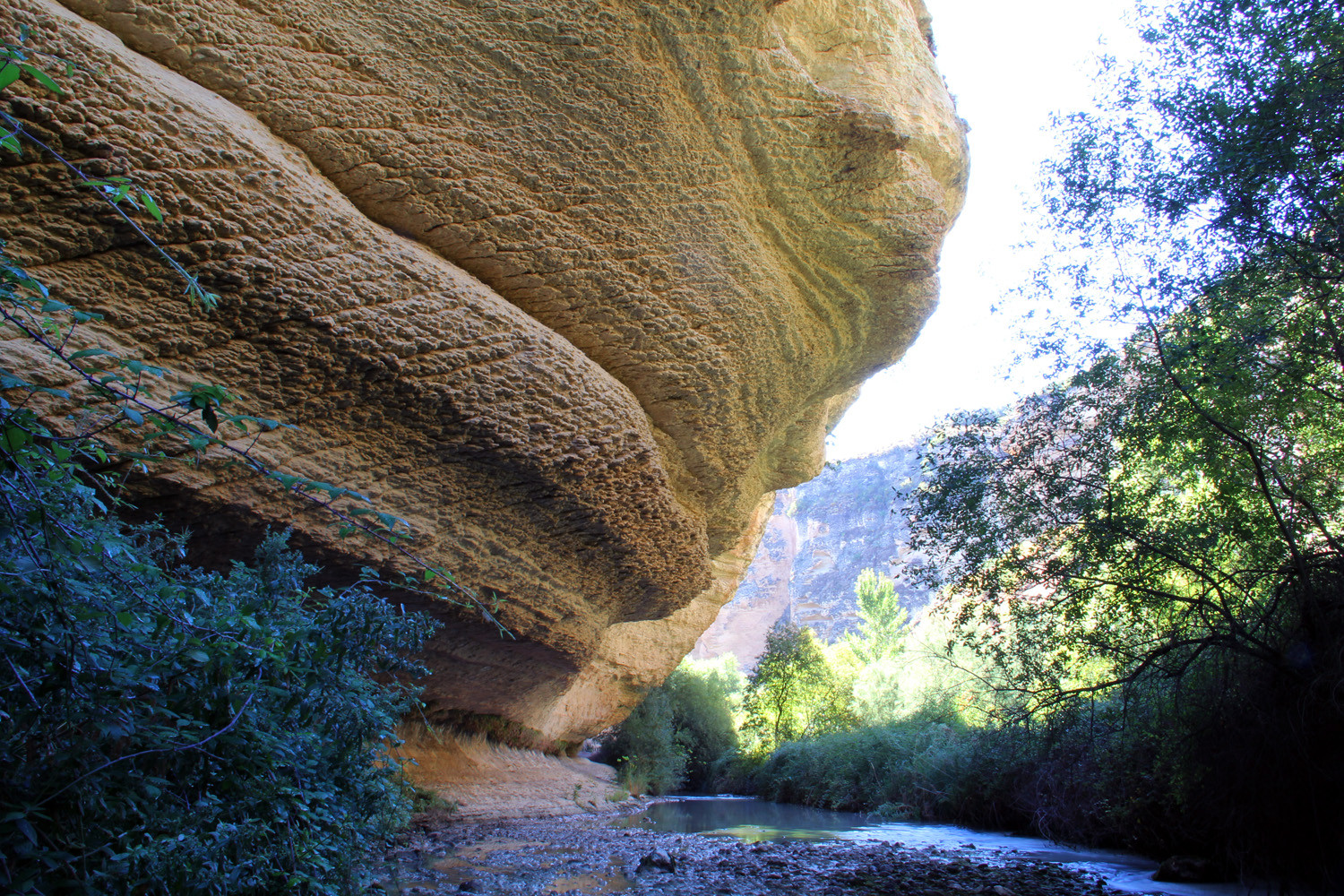A Canyon of the Cacin River "Tajos de Cacin"