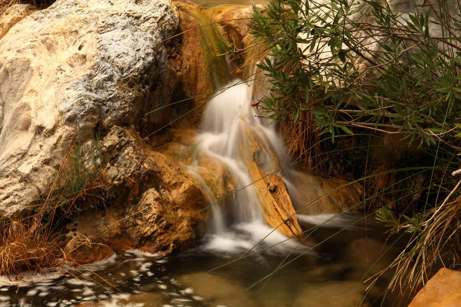 Natural Park Sierra Tejeda, Almijara and Alhama