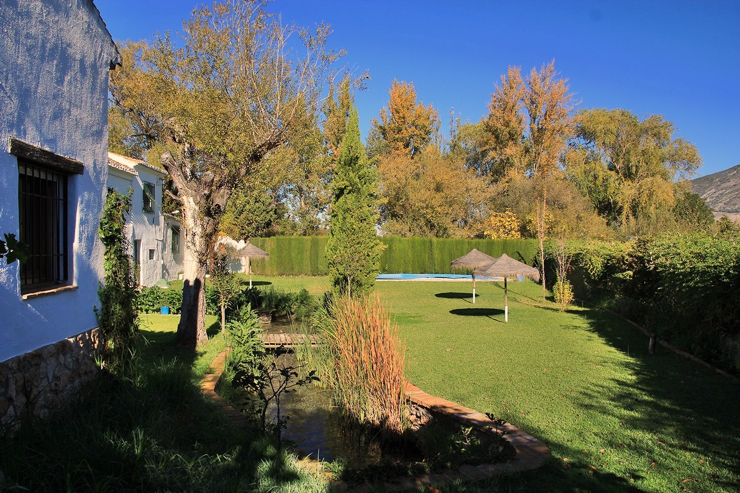 The garden at the back