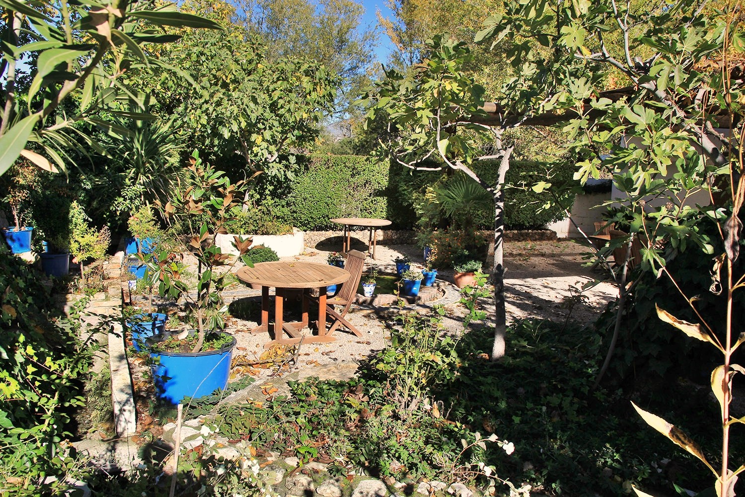 The garden at the front