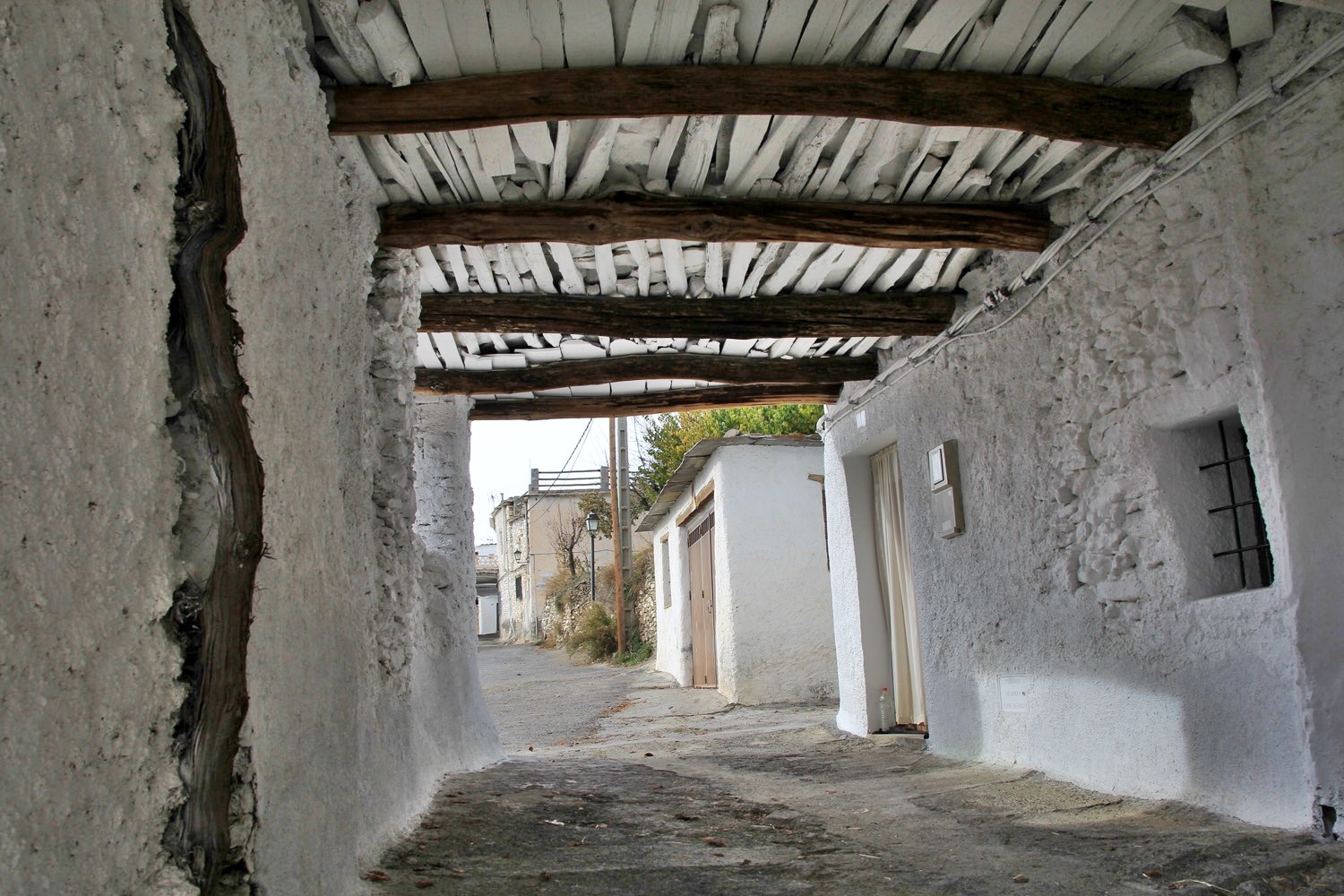 A "Tinao" in Capilerilla