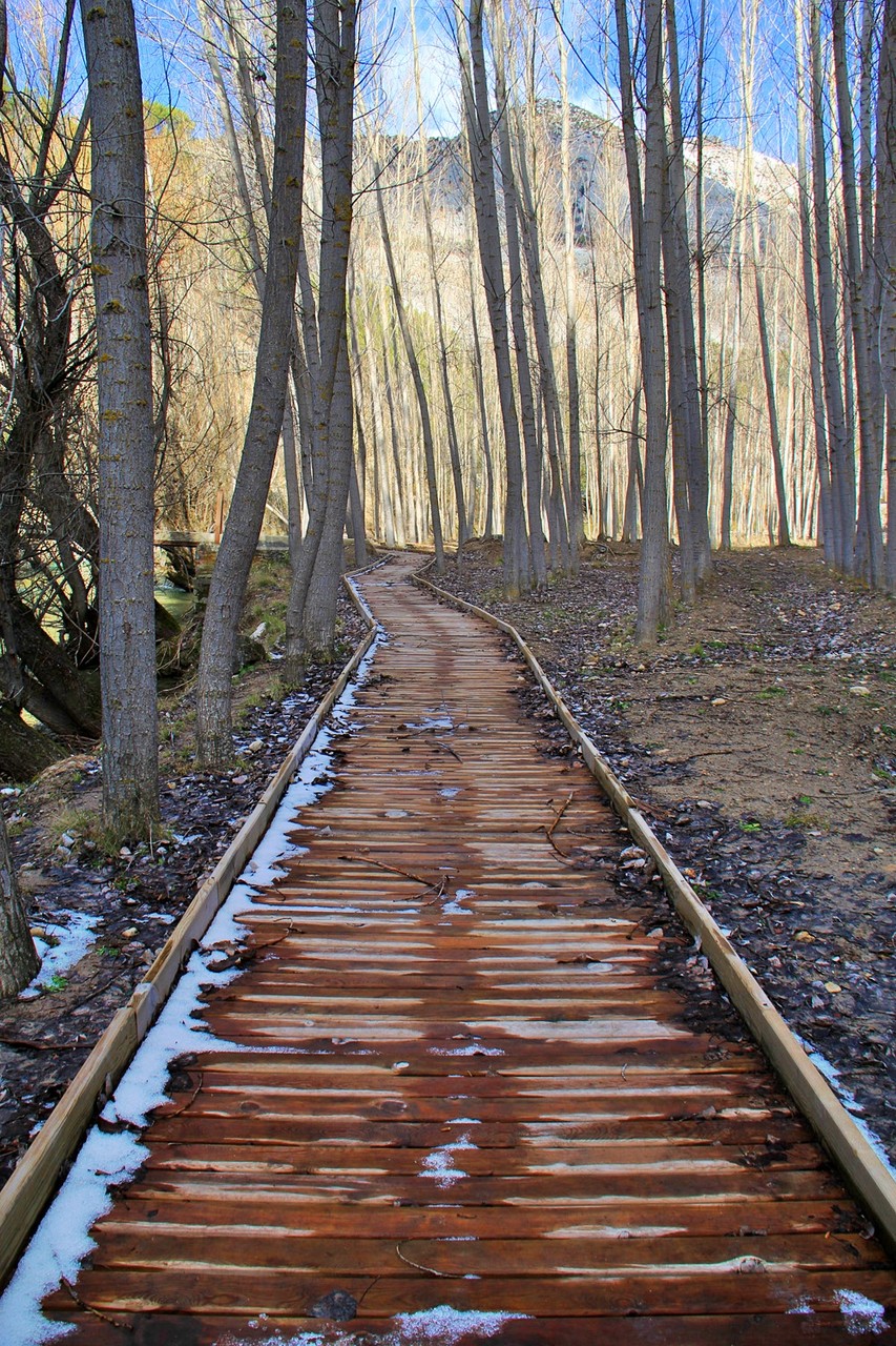 A Trail in NP Sierra de Castril