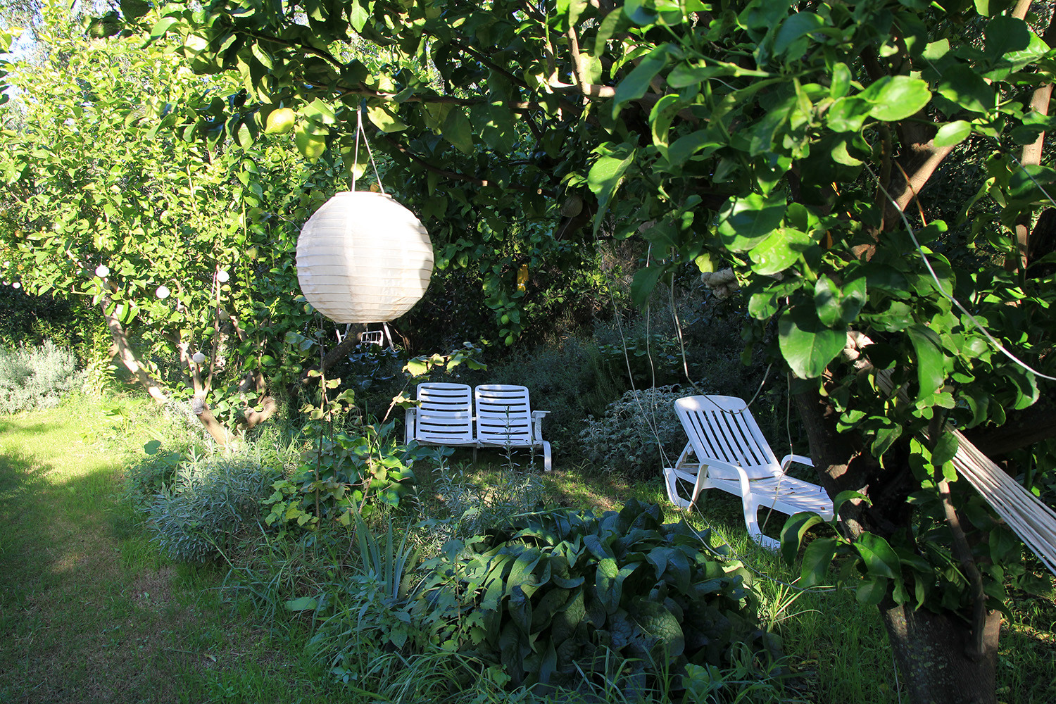 Solarium underneath the fruit trees