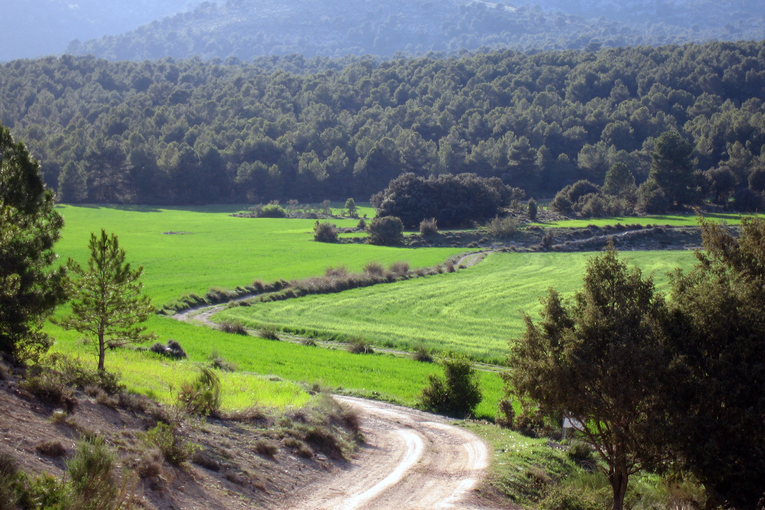 Countryside near Sierra Seca - Huéscar