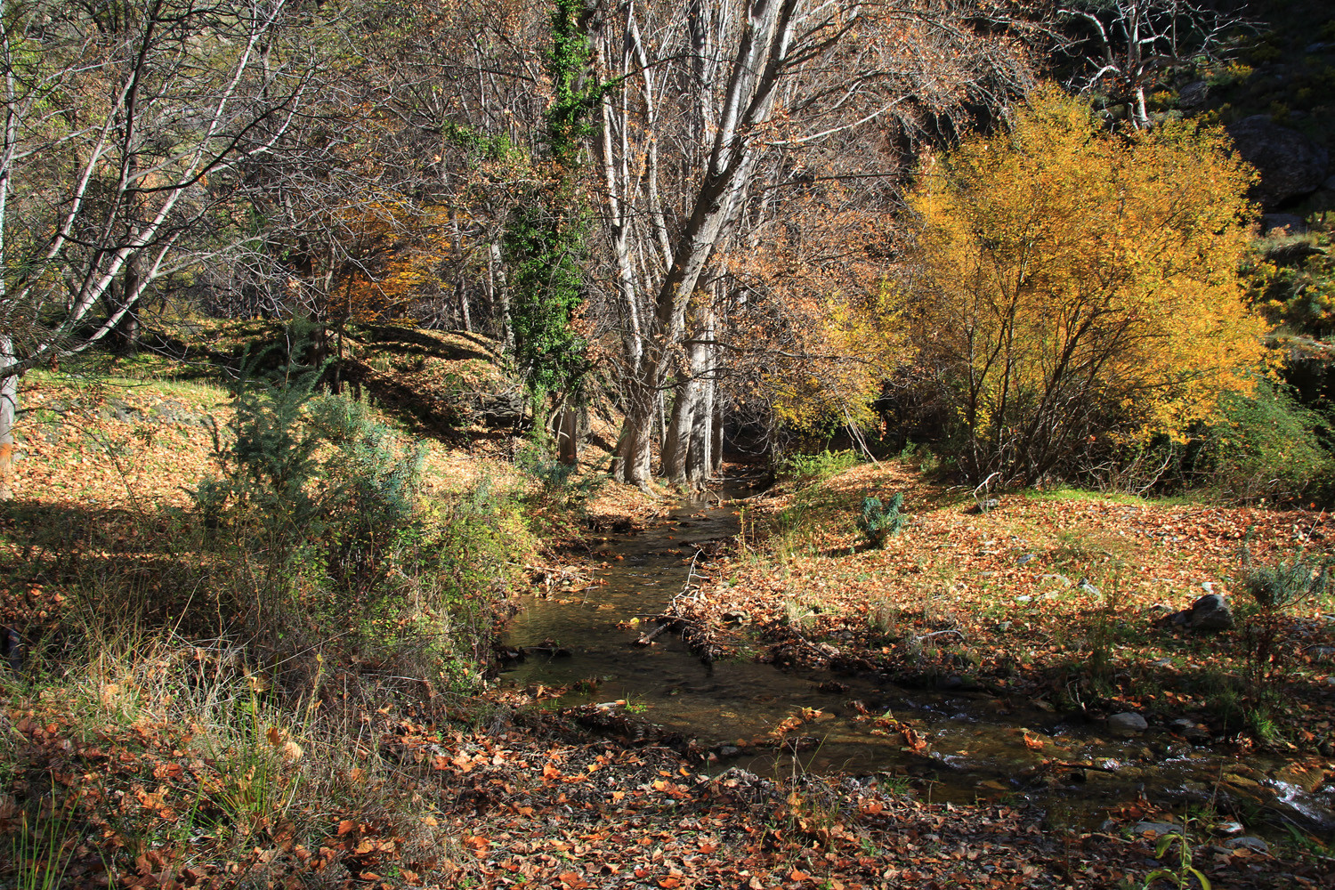 Mecina River near Mecina Bombarón