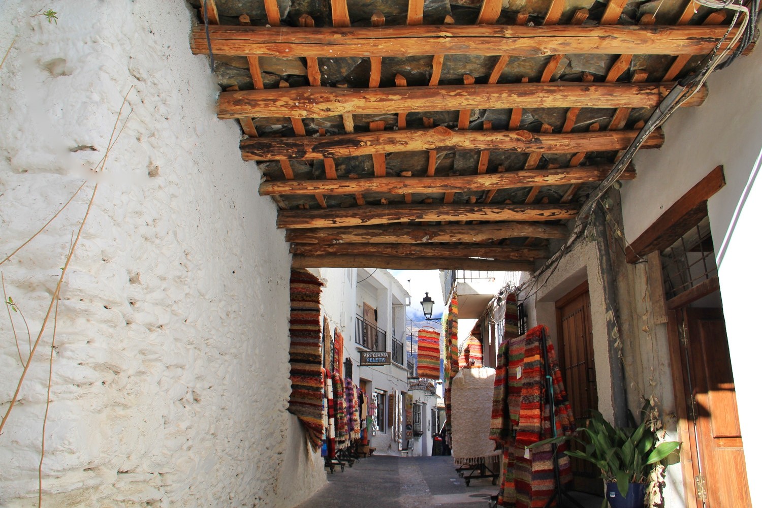 A "Tinao" in Pampaneira