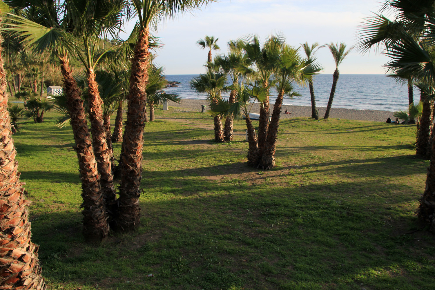 Playa El Calabajio - Almuñecar