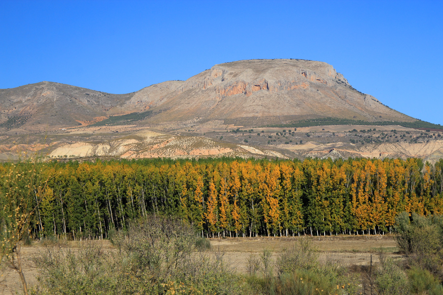 The Mountains near Villanueva de las Torres