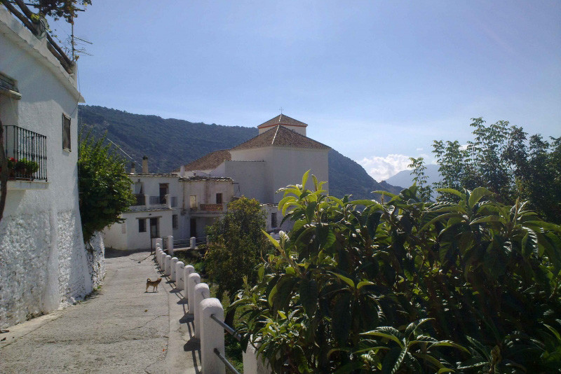 The view from the terrace