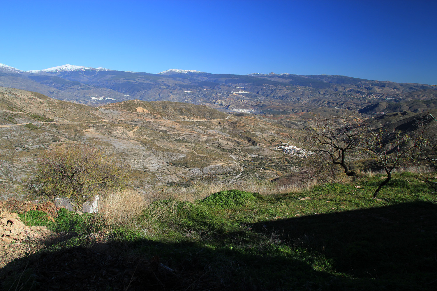 View on the Sierra Nevada from the Contraviesa