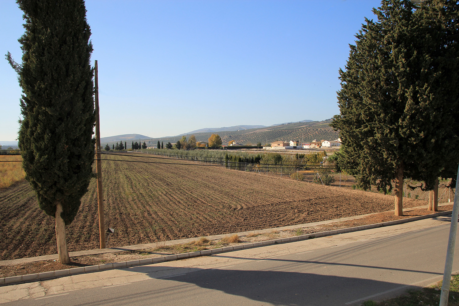 The view from the first floor
