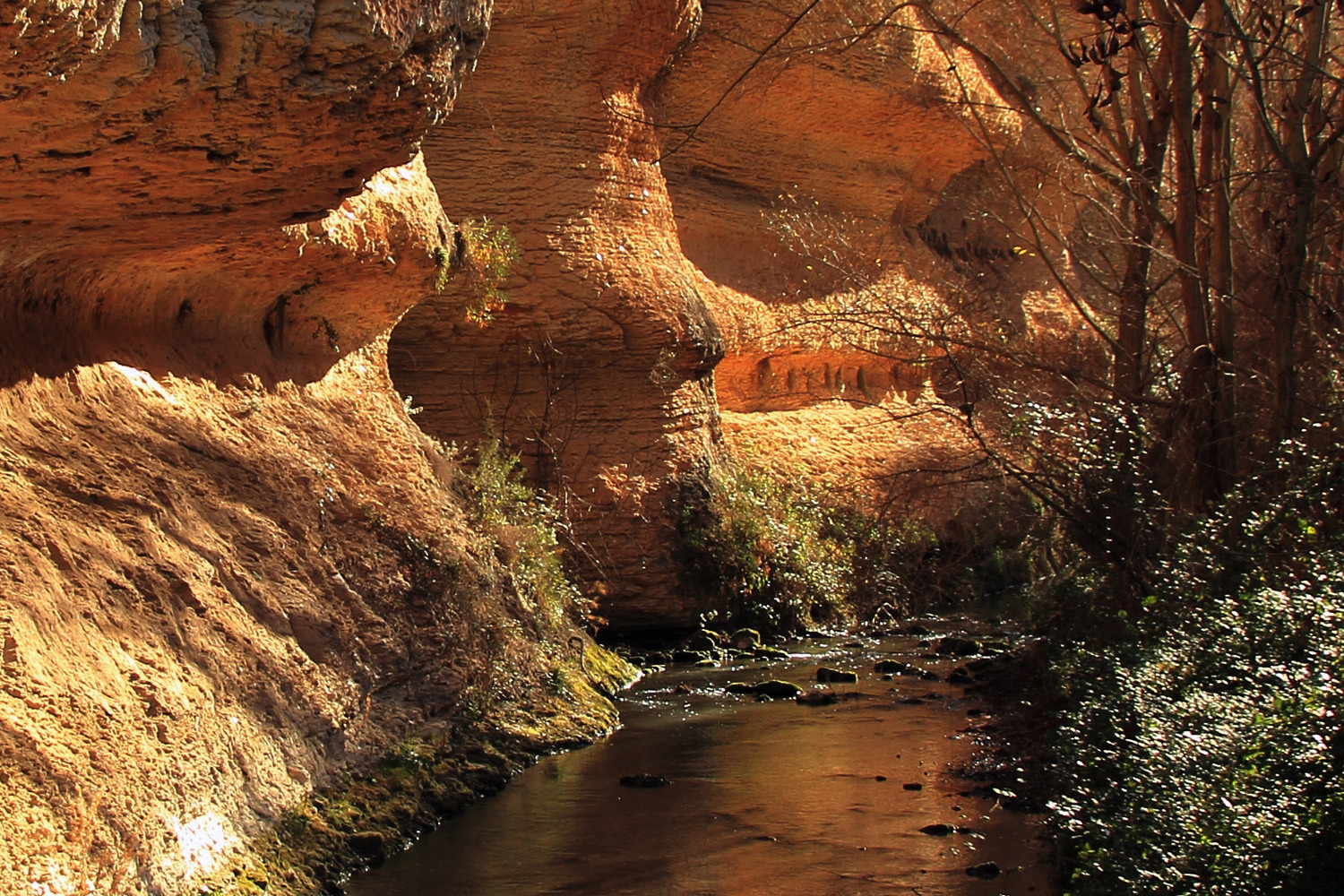 A Canyon of the Cacin River "Tajos de Cacin"