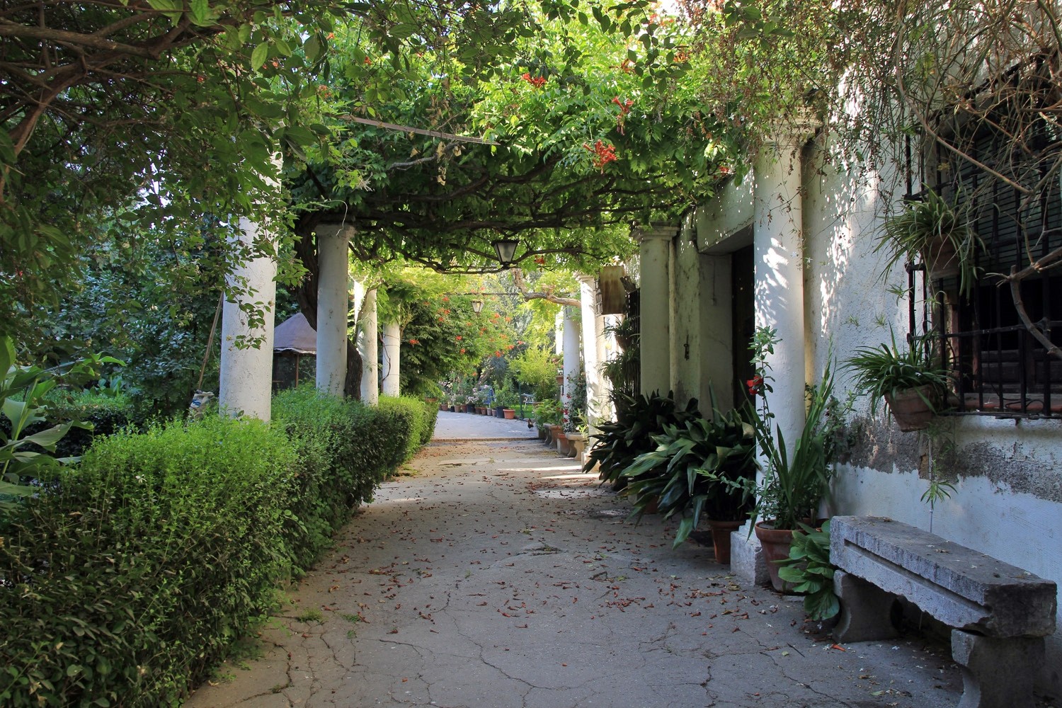 The lane next to the farmhouse